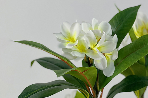 Artificial Plant for Healthcare-04.jpg